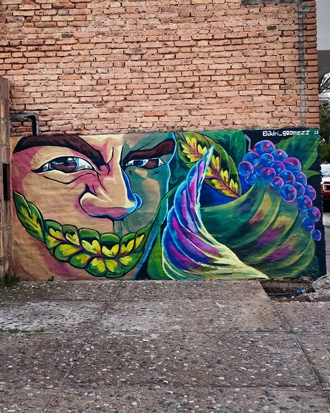 Mural sobre un muro de ladrillo con un rostro de ojos celestes y barba de hojas amarillas, junto a un cuerno verde y violeta cargado de uvas azules, con la firma @adri_goomezz arriba a la derecha.